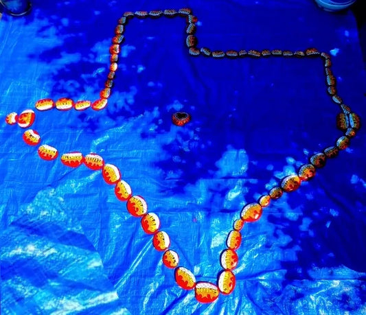 Prayer Assignment 4 Texas Counties