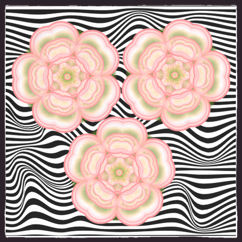 Tri Rose Gift Cloth